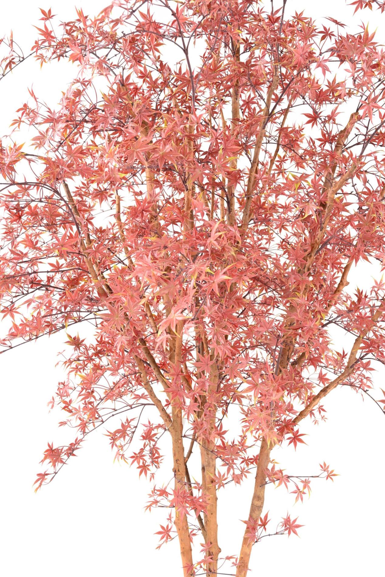 Plante artificielle Aralia Tree PE UV (érable) - intérieur extérieur - H.270cm rouge