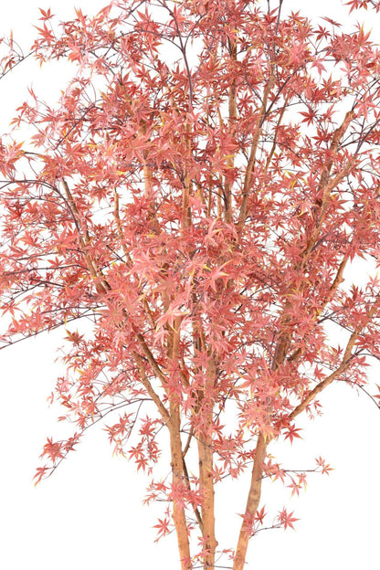 Plante artificielle Aralia Tree PE UV (érable) - intérieur extérieur - H.270cm rouge