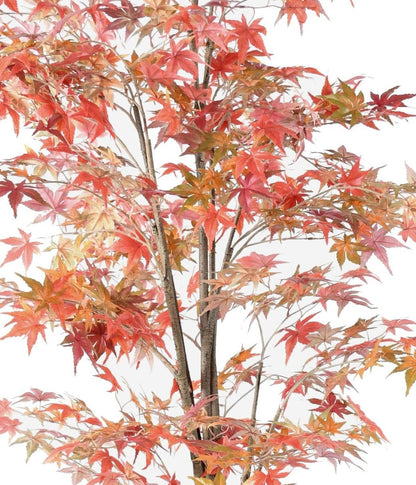 Plante artificielle Aralia automne - arbre synthétique pour intérieur - H.175cm