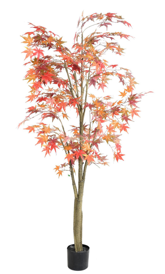 Plante artificielle Aralia automne - arbre synthétique pour intérieur - H.175cm