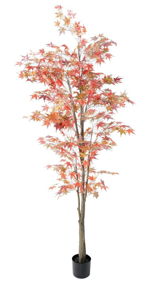 Plante artificielle Aralia automne - arbre synthétique pour intérieur - H.220cm