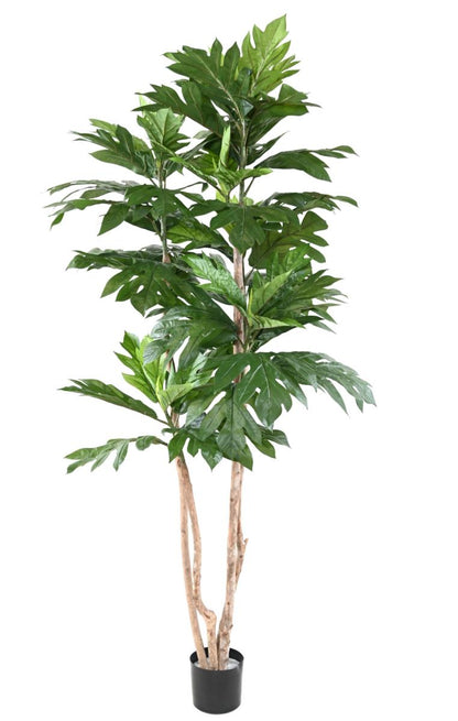 Plante artificielle Artocarpus Altilis - arbre à pain pour intérieur - H.200cm vert