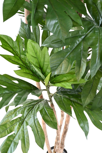 Plante artificielle Artocarpus Altilis - arbre à pain pour intérieur - H.200cm vert