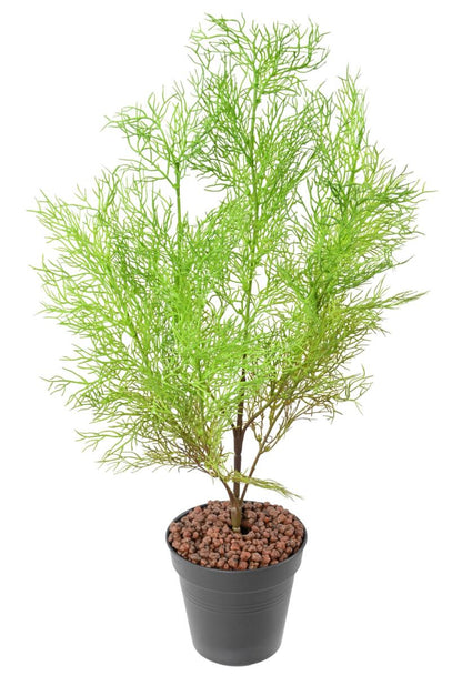 Plante artificielle Asparagus fin en piquet - intérieur extérieur - H.62cm vert