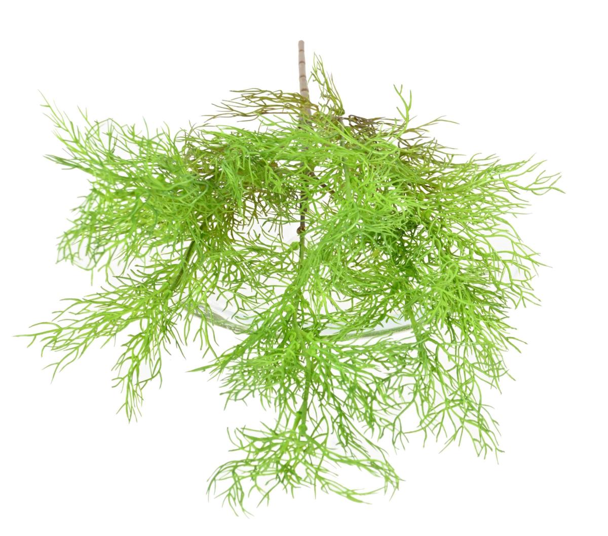 Plante artificielle Asparagus fin en piquet - intérieur extérieur - H.62cm vert