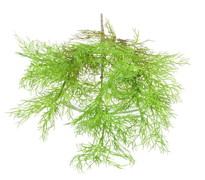 Plante artificielle Asparagus fin en piquet - intérieur extérieur - H.62cm vert
