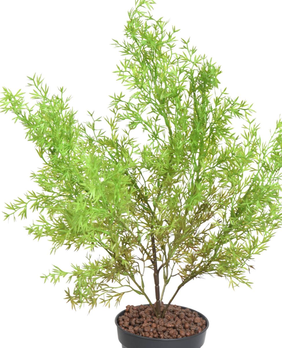 Plante artificielle Asparagus plastique - intérieur extérieur - H.62cm vert