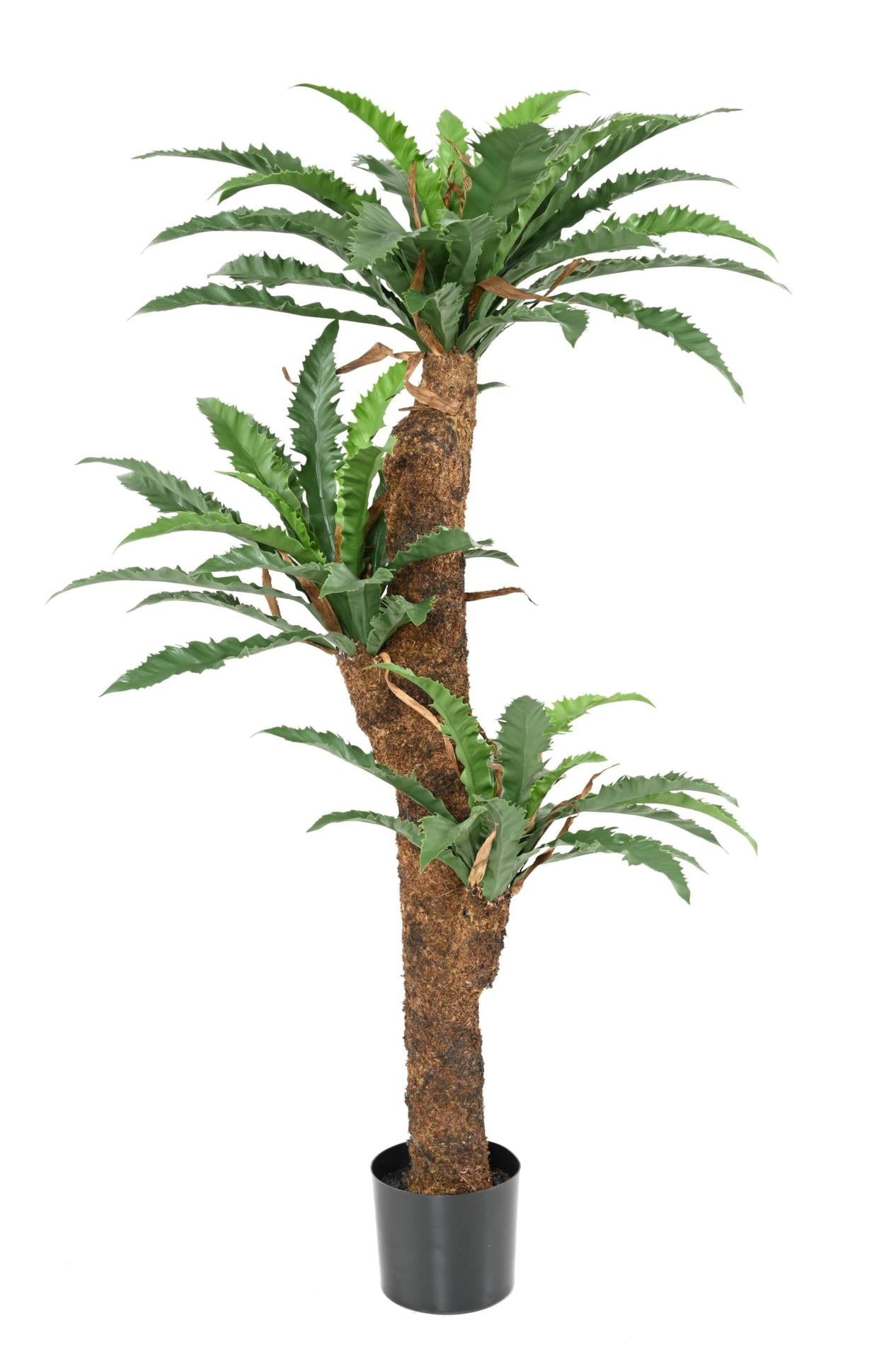 Plante artificielle Asplenium Dakila - décoration d'intérieur - H.130cm