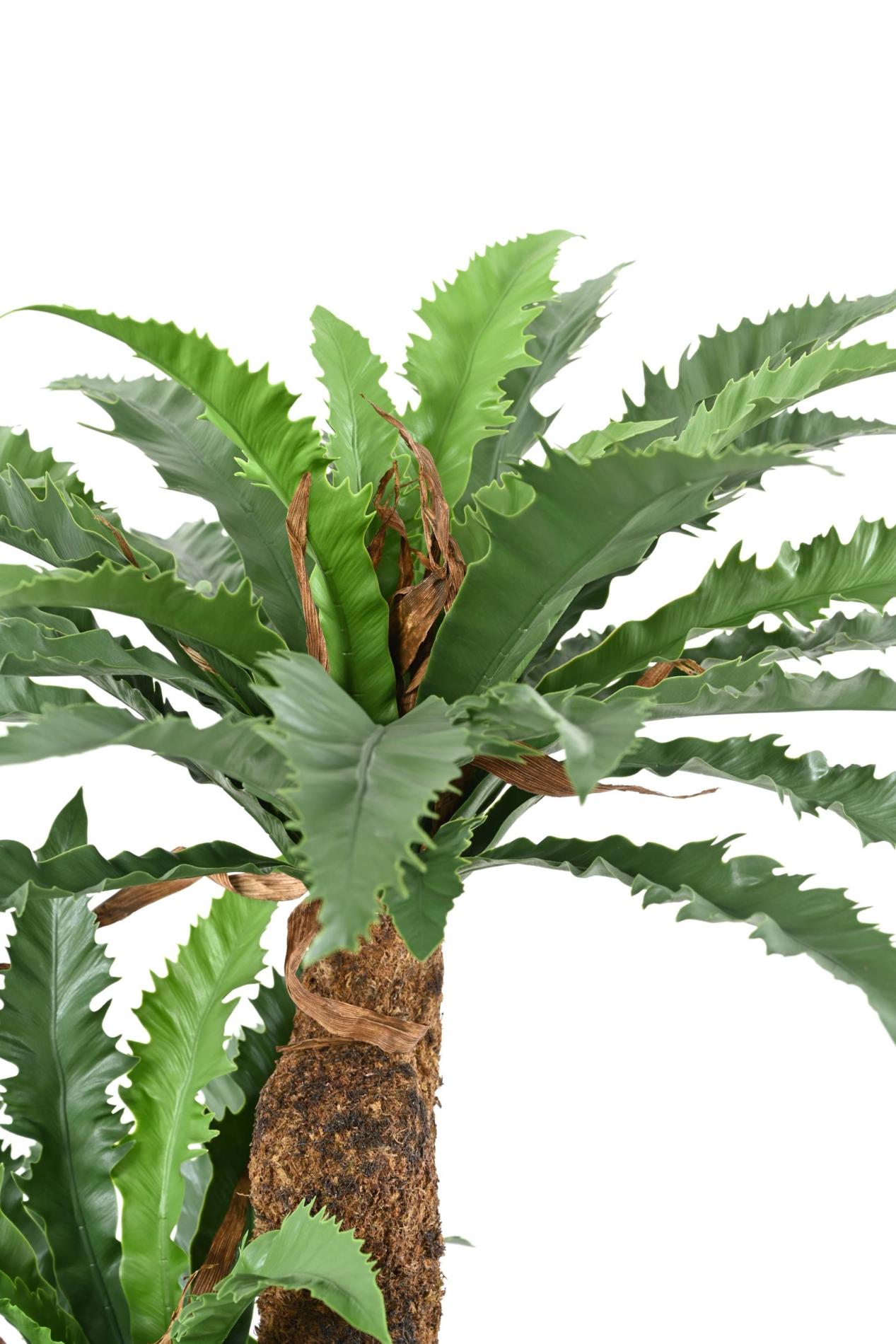 Plante artificielle Asplenium Dakila - décoration d'intérieur - H.130cm