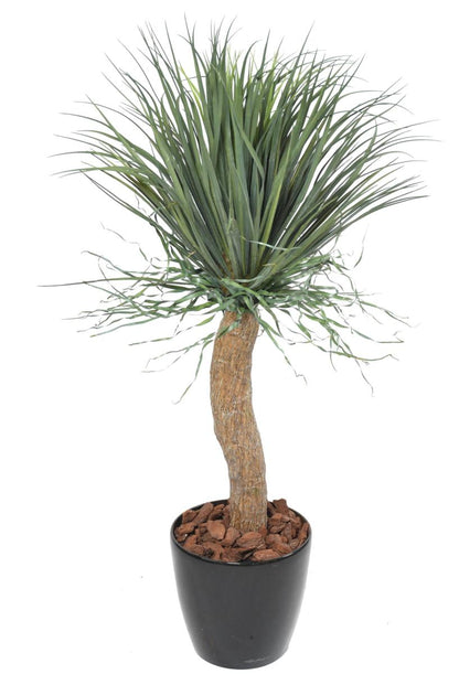 Plante artificielle Beaucarnea Pied d'éléphant - intérieur - H.116cm