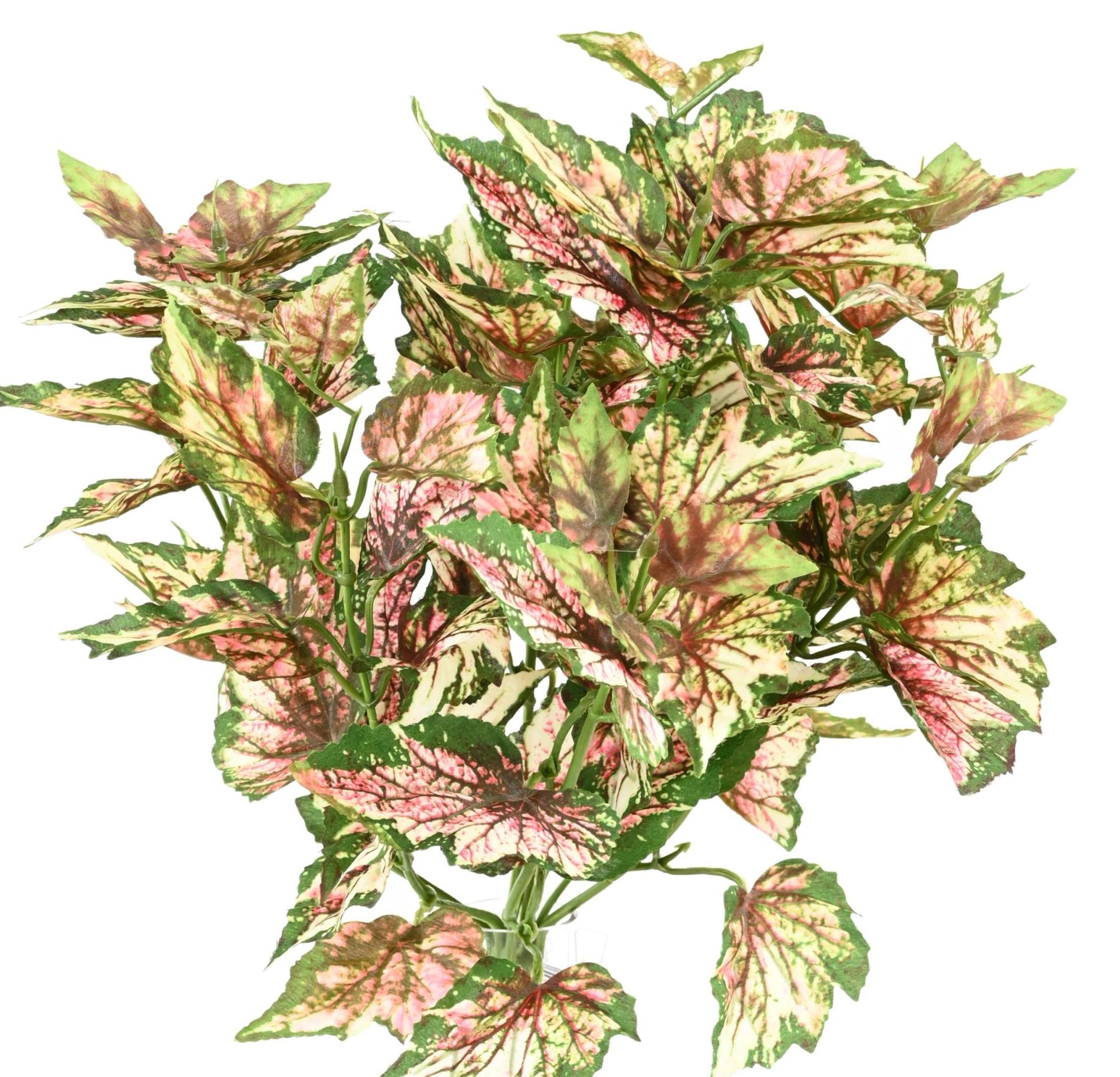 Plante artificielle Begonia rex en piquet - décoration d'intérieur - H.37cm panaché