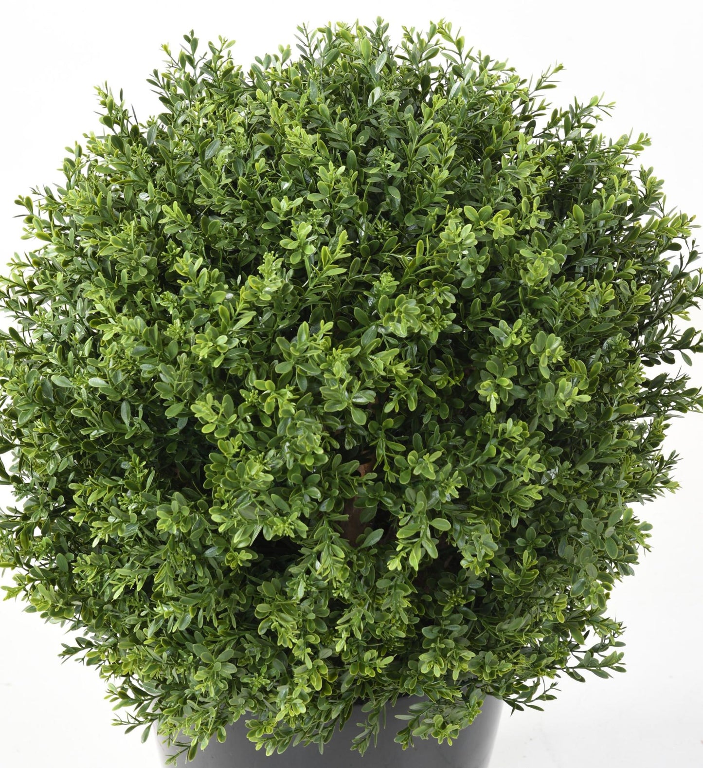 Plante artificielle Buis boule RED DAY UV - topiaire pour extérieur - H.65cm vert