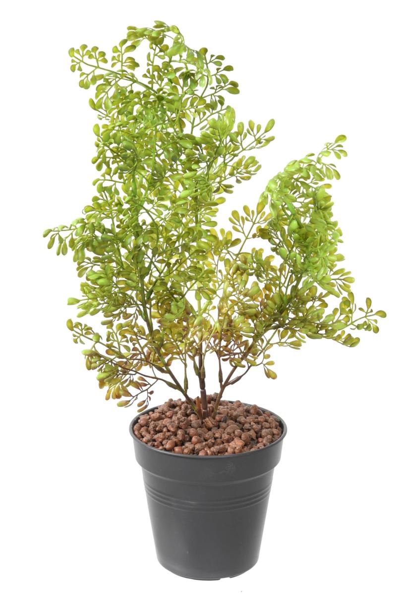 Plante artificielle Buxus en piquet - intérieur extérieur - H.50cm vert foncé