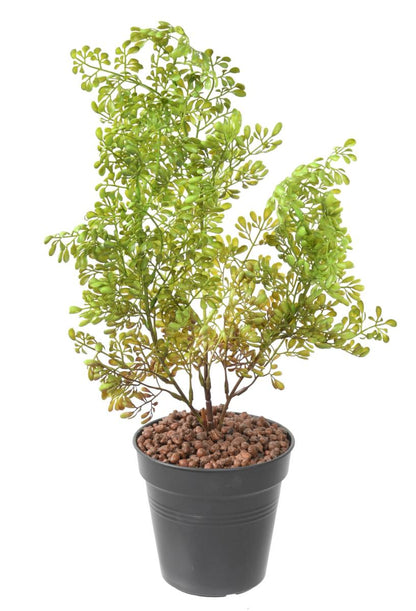 Plante artificielle Buxus en piquet - intérieur extérieur - H.50cm vert foncé