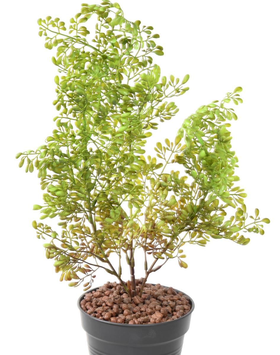 Plante artificielle Buxus en piquet - intérieur extérieur - H.50cm vert foncé