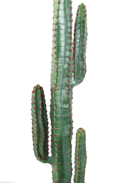 Plante artificielle Cactus 3 branches - Plante synthétique intérieur - H.150cm vert