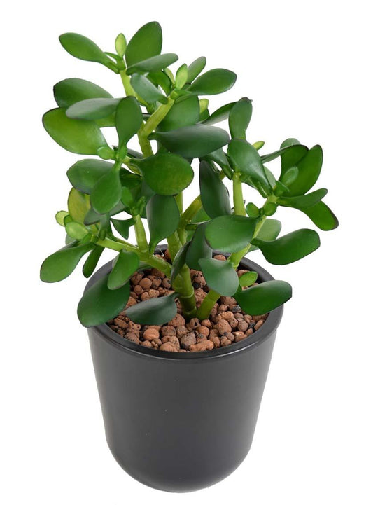 Plante artificielle Cactus Crassula Jade en piquet - plante synthétique - H.38cm