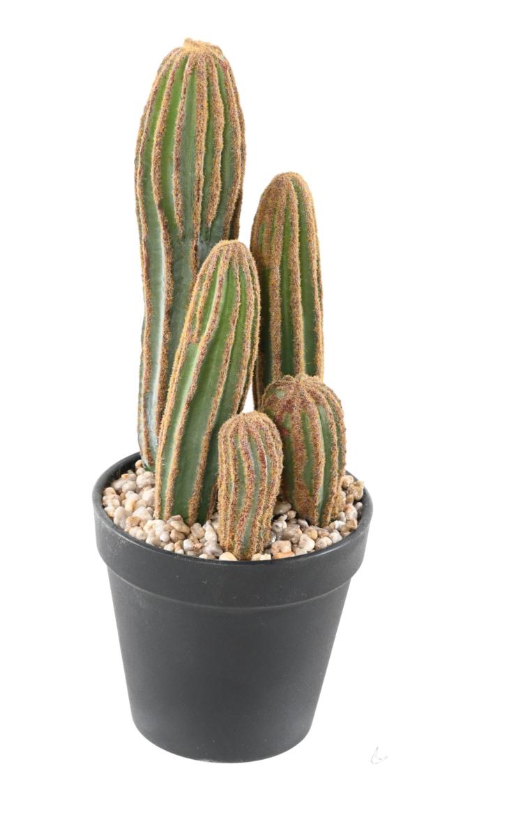 Plante artificielle Cactus Finger 5 troncs - Plante pour intérieur - H.28cm vert