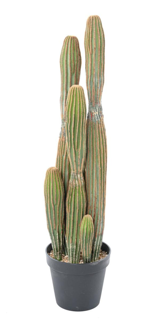 Plante artificielle Cactus Finger 6 troncs - Plante pour intérieur - H.95cm vert