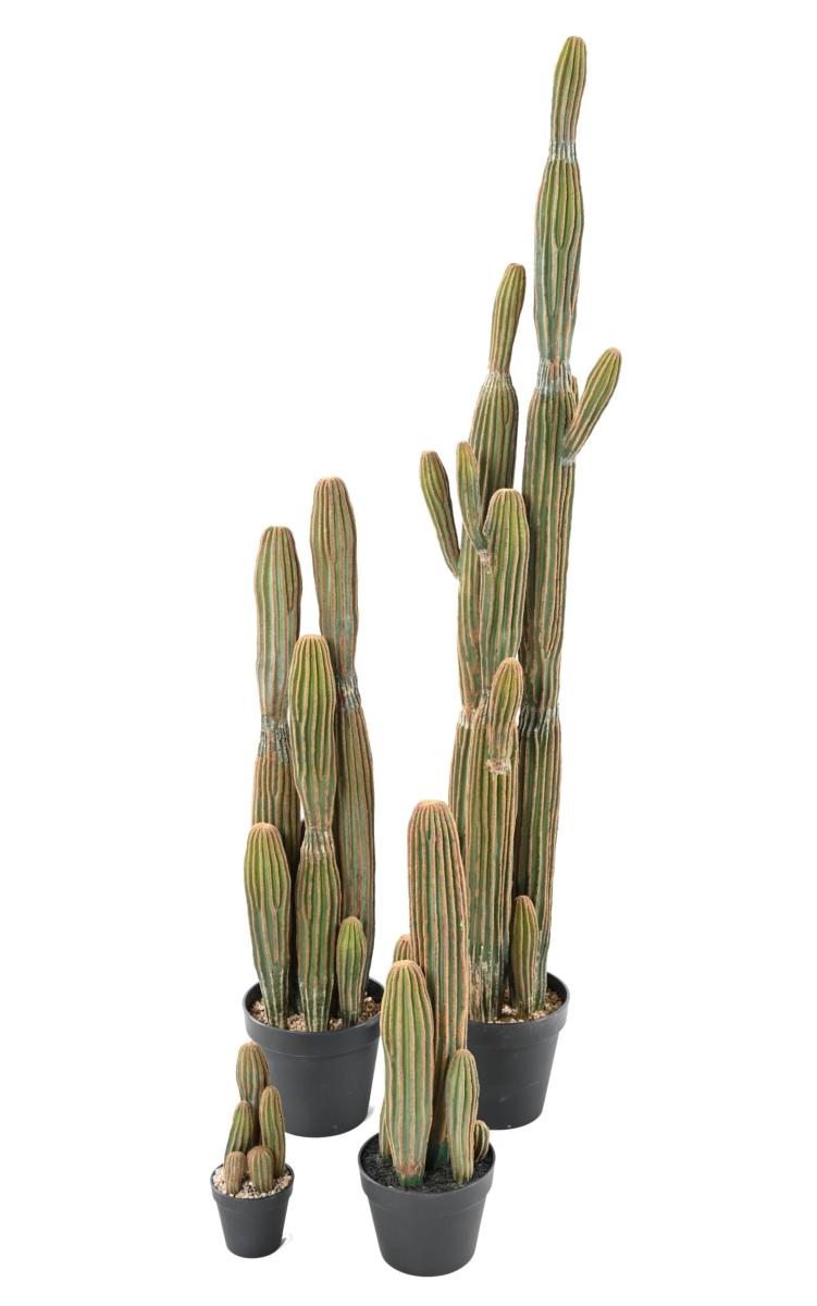 Plante artificielle Cactus Finger 5 troncs - Plante pour intérieur - H.28cm vert