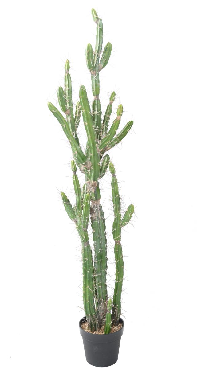 Plante artificielle Cactus Finger F - Plante pour intérieur - H.140cm vert