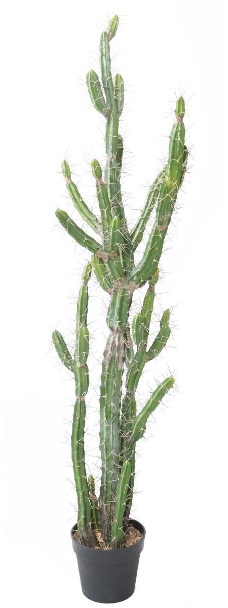 Plante artificielle Cactus Finger F - Plante pour intérieur - H.140cm vert