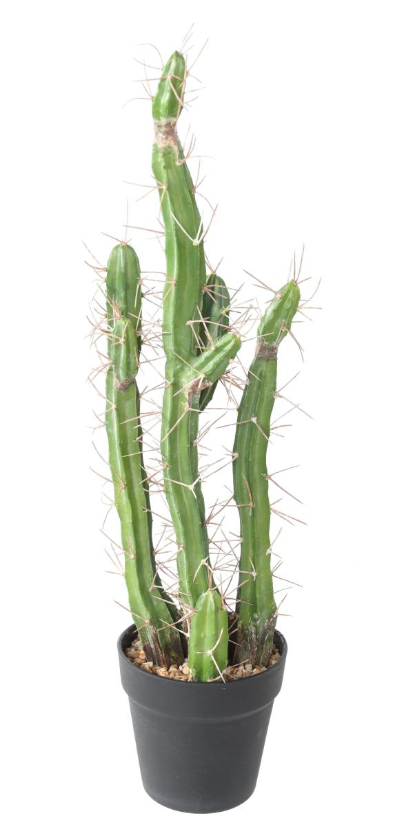 Plante artificielle Cactus Finger F - Plante pour intérieur - H.60cm vert