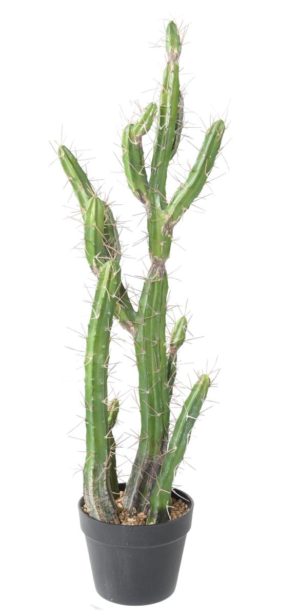 Plante artificielle Cactus Finger F - Plante pour intérieur - H.85cm vert