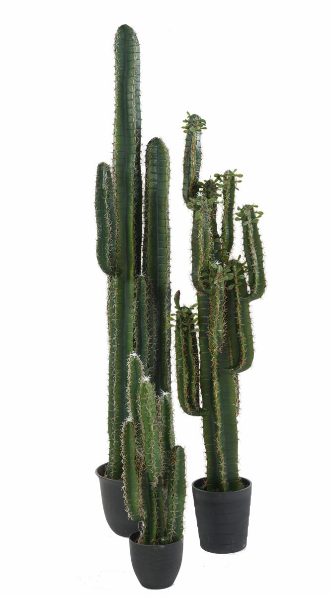 Plante artificielle Cactus Finger avec feuilles - Plante pour intérieur - H.150cm vert