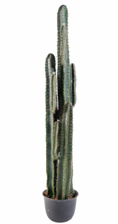 Plante artificielle Cactus Finger - Plante synthétique intérieur - H. 185cm vert