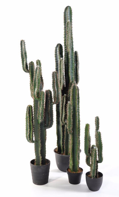 Plante artificielle Cactus Finger - Plante synthétique intérieur - H. 75cm vert