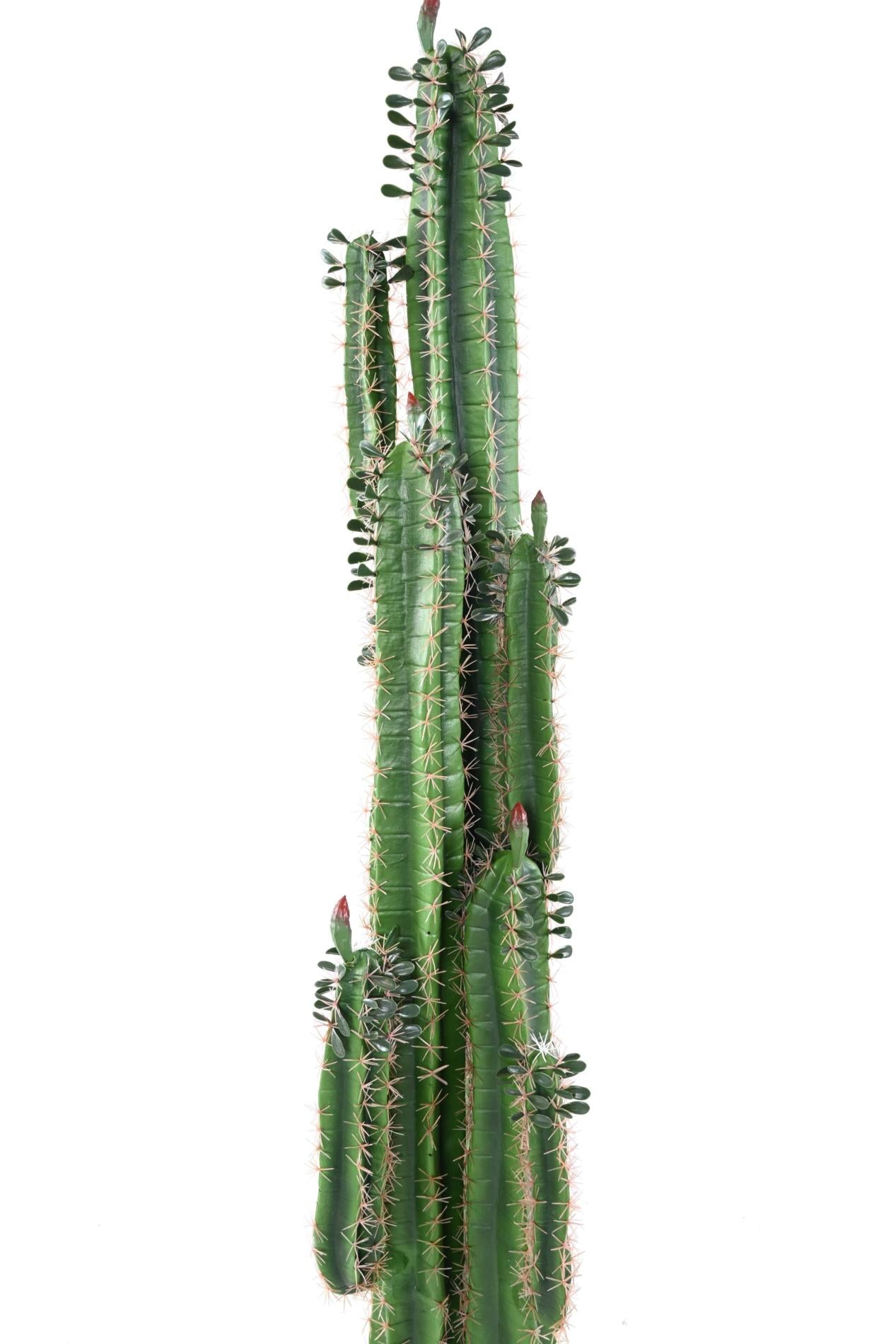 Plante artificielle Cactus Finger avec feuilles - Plante pour intérieur - H.185cm vert