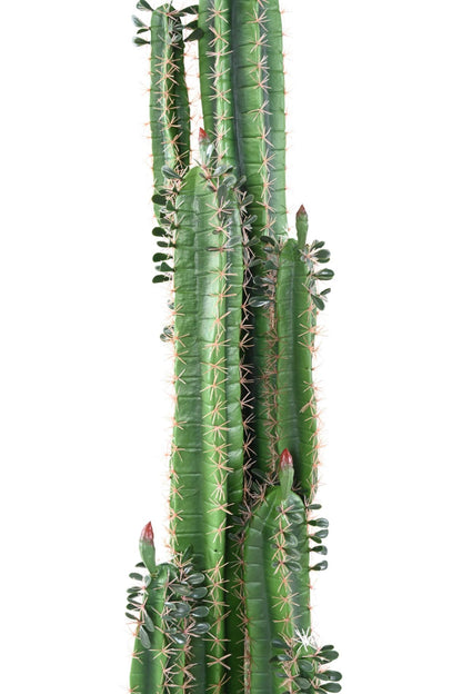 Plante artificielle Cactus Finger avec feuilles - Plante pour intérieur - H.185cm vert