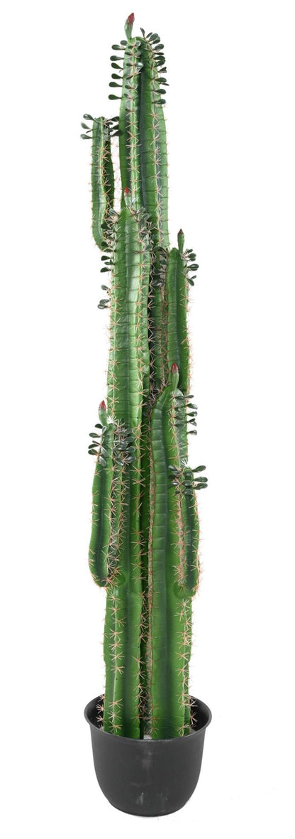 Plante artificielle Cactus Finger avec feuilles - Plante pour intérieur - H.185cm vert