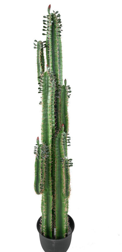 Plante artificielle Cactus Finger avec feuilles - Plante pour intérieur - H.185cm vert