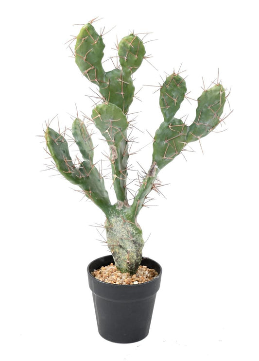 Plante artificielle Cactus Plat - Plante pour intérieur - H. 58cm vert