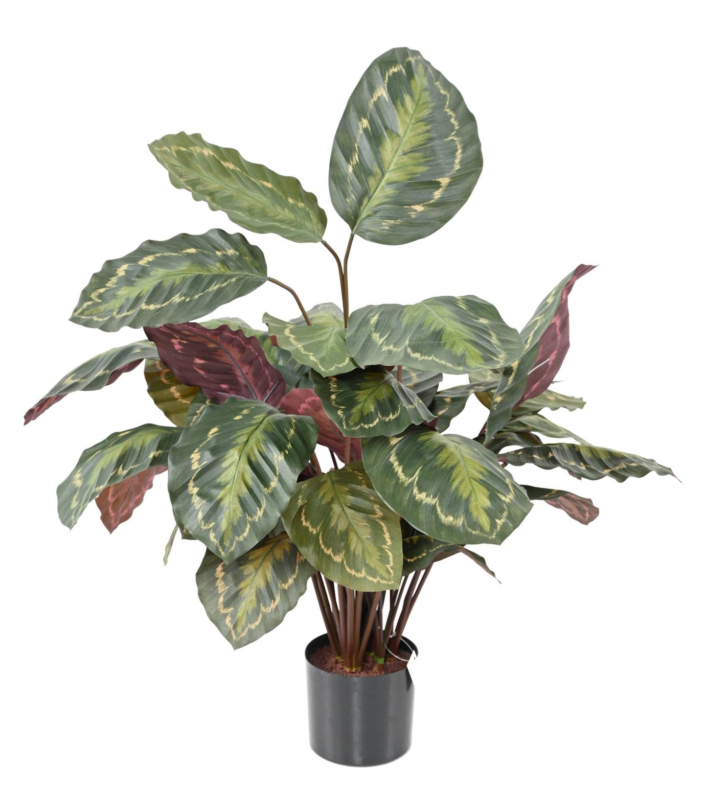 Plante artificielle Calathea Roseopicta - décoration d'intérieur - H.70cm vert rouge