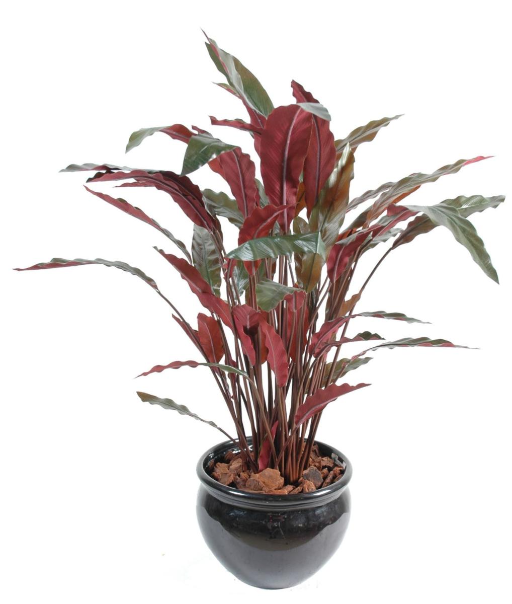 Plante artificielle Calathea - décoration d'intérieur - H.85cm vert rouge