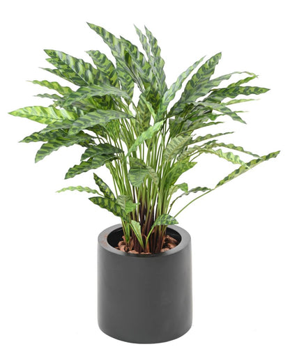 Plante artificielle Calathea en pot - décoration d'intérieur - H.84cm vert