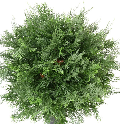 Plante artificielle Cyprès Lawson boule UV - intérieur extérieur - H.60cm