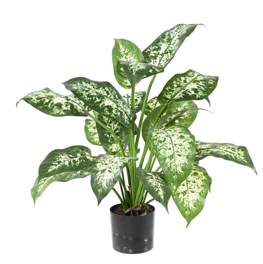 Plante artificielle Dieffenbachia en pot - plante d'intérieur - H.51cm panaché