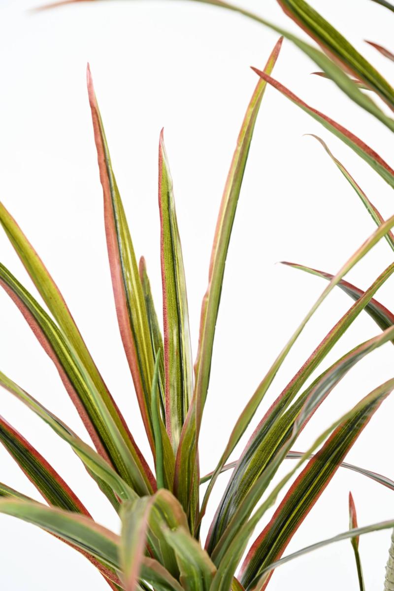 Plante artificielle Dracaena 3 têtes - décoration d'intérieur - H.140cm