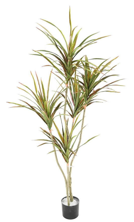 Plante artificielle Dracaena 5 têtes - décoration d'intérieur - H.190cm