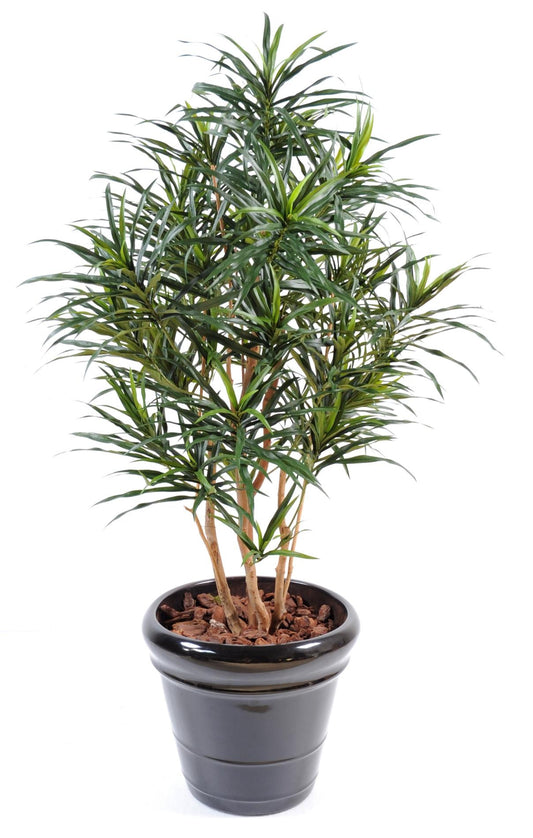 Plante artificielle Dracaena Anita - décoration d'intérieur - H.125cm vert