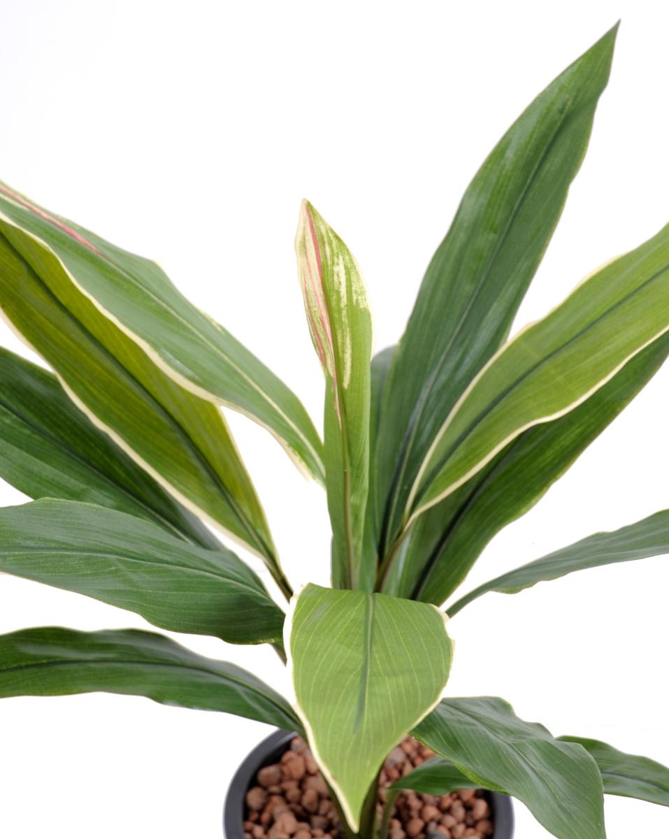 Plante artificielle Dracaena Cordyline en piquet - intérieur - H.60 cm vert jaune