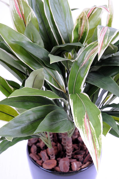 Plante artificielle Dracaena Cordyline touffe - déco d'intérieur - H.85cm vert jaune