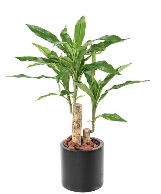 Plante artificielle Dracaena Fragrans Stud - déco d'intérieur - H.60cm vert