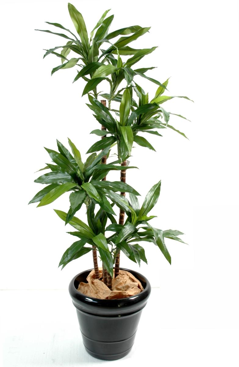 Plante artificielle Dracaena Fragrans - décoration d'intérieur - H.95cm vert