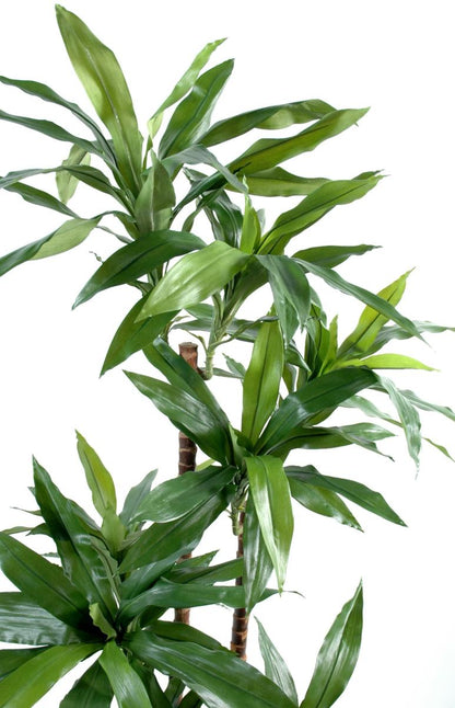 Plante artificielle Dracaena Fragrans - décoration d'intérieur - H.95cm vert