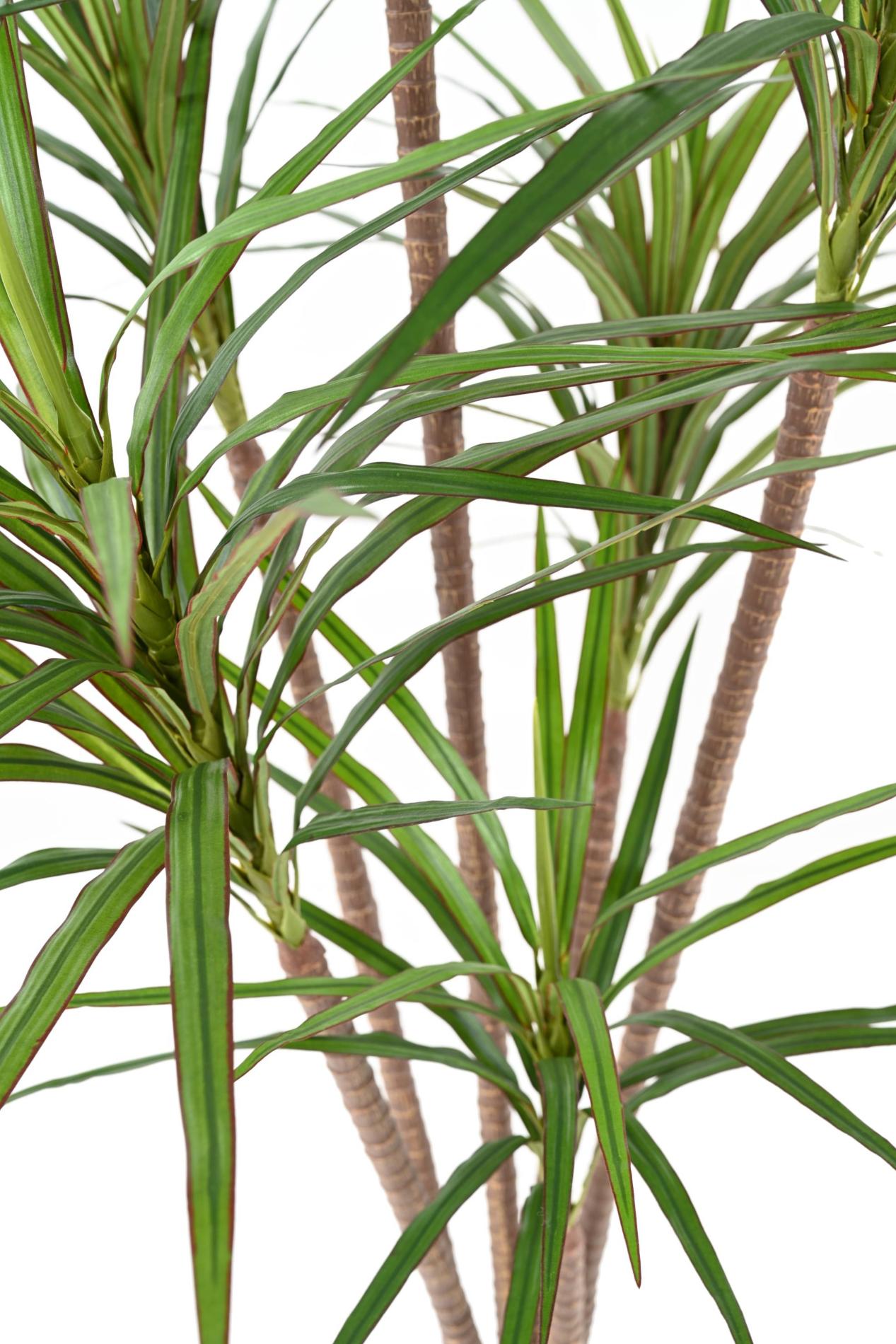 Plante artificielle Dracaena Marginata - décoration d'intérieur - H.160cm vert